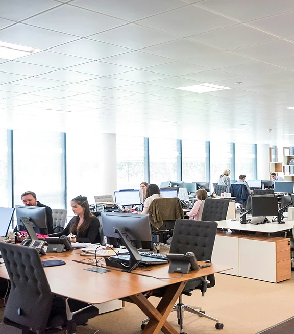 Coworkers working together at desks in a bright open-plan office
